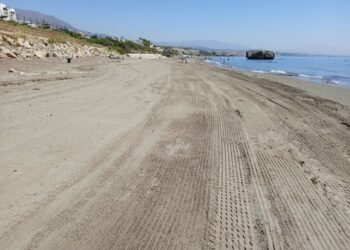 Así han quedado las playas de Casares tras retirada del gran manto de algas invasoras