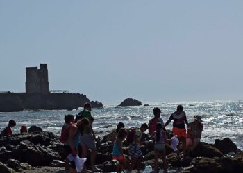 Escolares de las Escuelas de Verano de Casares y Secadero realizan talleres de educación ambiental