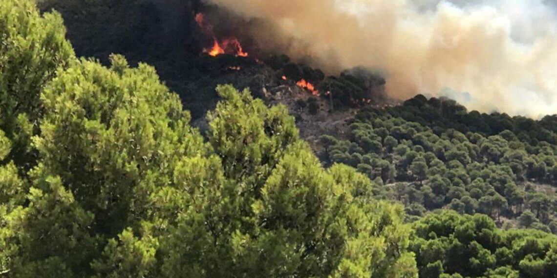 Ecologistas exigen que se prohiba urbanizar los terrenos afectados por el incendio de Mijas