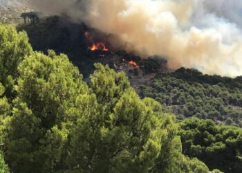 Ecologistas exigen que se prohiba urbanizar los terrenos afectados por el incendio de Mijas