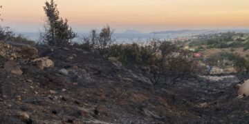 Cortado el suministro eléctrico en gran parte de Estepona