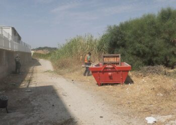 Intensa labor de desbroce y limpieza en Manilva