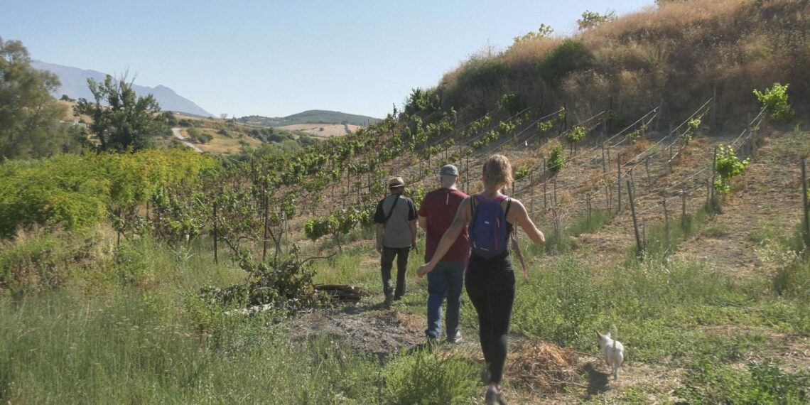 Alumnos del curso de Elaboración de Vinos y Licores visitan la Finca Bocanegra