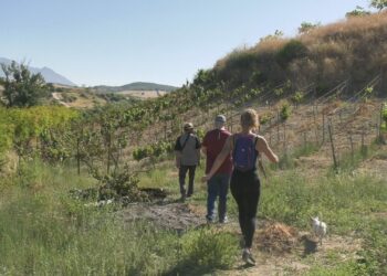 Alumnos del curso de Elaboración de Vinos y Licores visitan la Finca Bocanegra