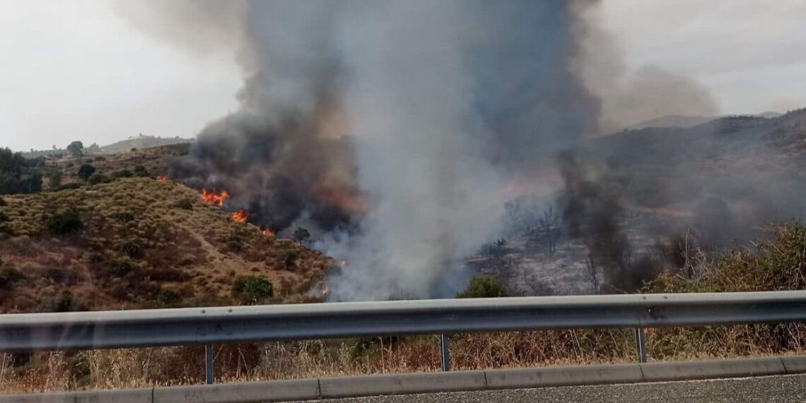 Extinguido el incendio forestal declarado el domingo junto a la AP-7 en Mijas