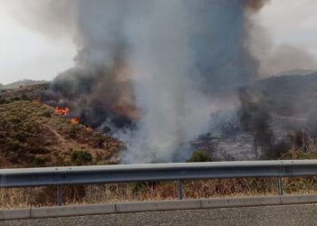 Extinguido el incendio forestal declarado el domingo junto a la AP-7 en Mijas