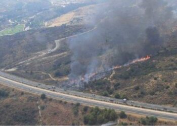 Controlado el incendio declarado junto a la AP-7 en Mijas