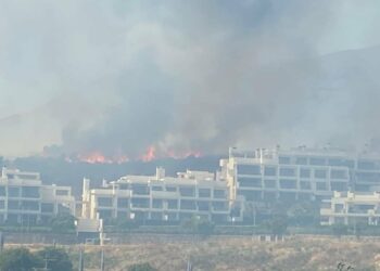 Declarado un incendio junto a la Urbanización Beverly Hills de Estepona