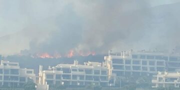Declarado un incendio junto a la Urbanización Beverly Hills de Estepona