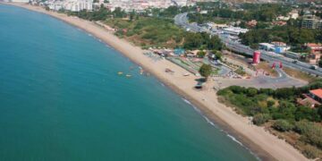 Estas son las mejores playas para ir con perros en la Costa del Sol
