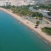Estas son las mejores playas para ir con perros en la Costa del Sol