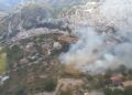 Declarado un incendio forestal en Cómpeta, Málaga