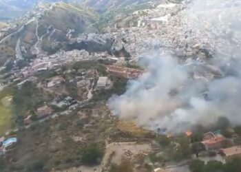 Declarado un incendio forestal en Cómpeta, Málaga