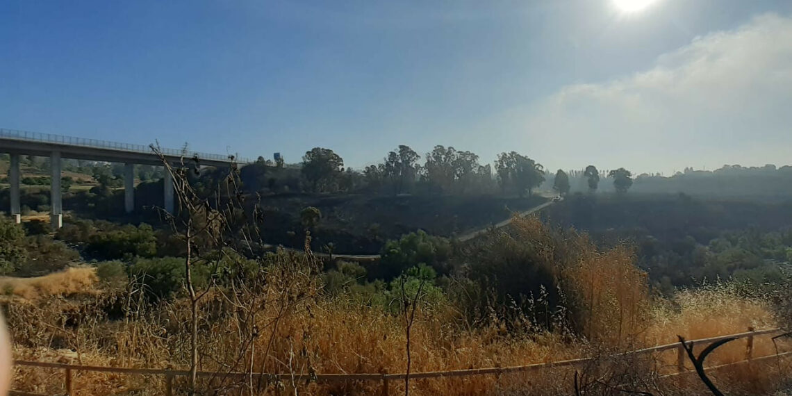 Controlados los incendios en Mijas y Benahavís