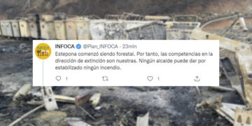 El INFOCA reprende a García Urbano por dar por estabilizado el incendio de Estepona