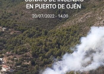 Un conato de incendio enciende las alarmas en el paraje del Juanar