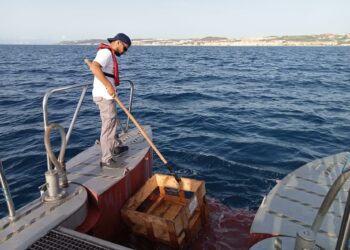 Baja a la mitad el volumen de residuos recogidos en los mares de la Costa del Sol durante julio