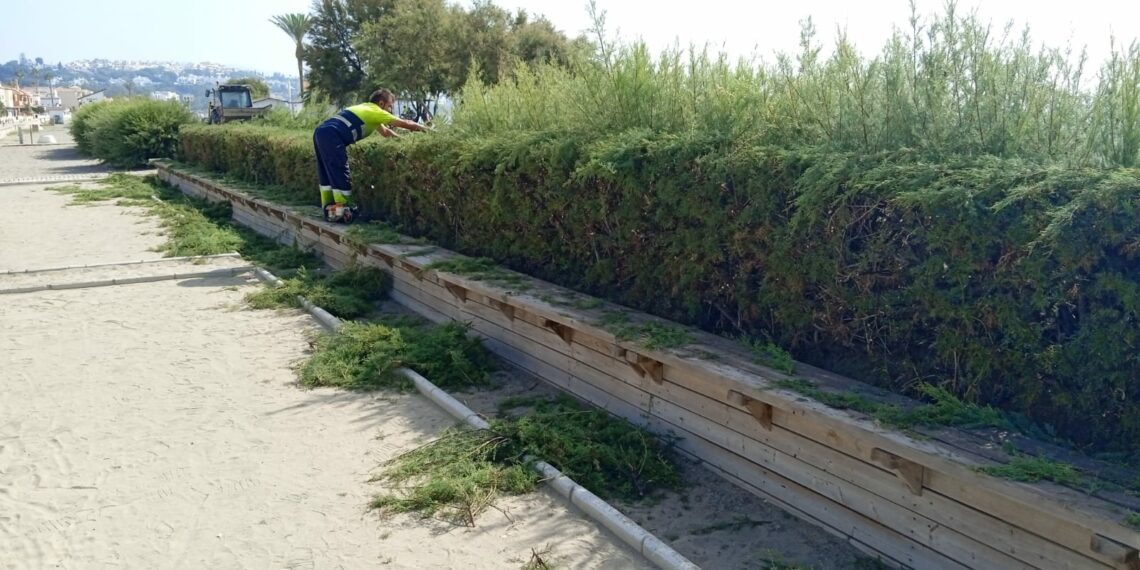 El verano multiplica los trabajos de mantenimiento en todo Casares Costa