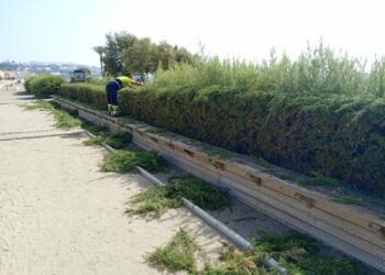 El verano multiplica los trabajos de mantenimiento en todo Casares Costa