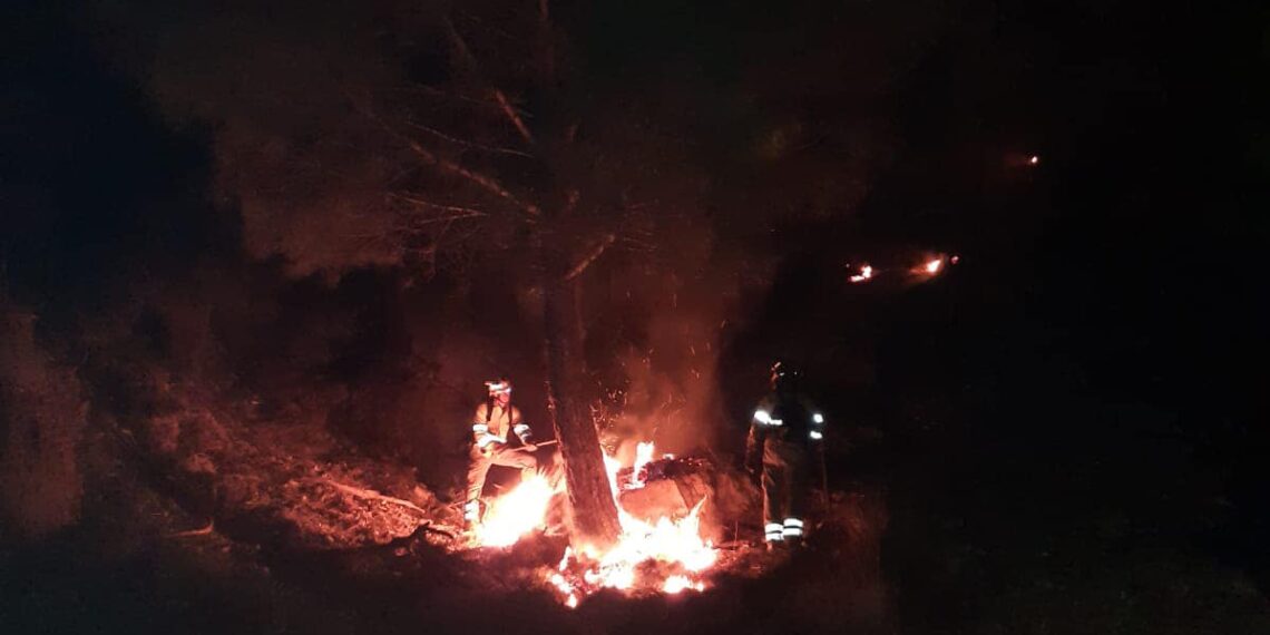 Infoca sigue con trabajos de extinción de los incendios forestales declarados en Estepona y Casares