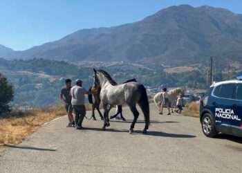 Controlado el incendio forestal declarado en Casares y extinguido el de Estepona
