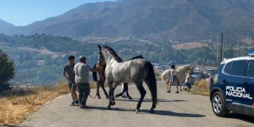 Controlado el incendio forestal declarado en Casares y extinguido el de Estepona