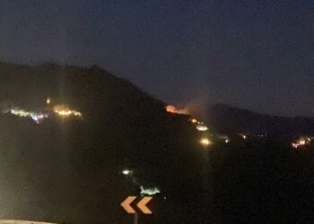 Estabilizado el incendio originado en La Manga, Casares