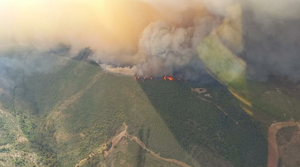 Extinguido el incendio forestal declarado el 15 de julio en la Sierra de Mijas