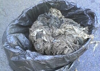 Hidralia recoge más de 400 toneladas de residuos de la red de saneamiento en lo que va de 2022, la mayoría toallitas