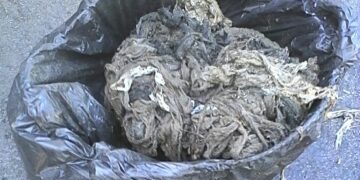 Hidralia recoge más de 400 toneladas de residuos de la red de saneamiento en lo que va de 2022, la mayoría toallitas