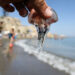 Las plaga de medusas se extiende por más playas de Estepona, Marbella y Benalmádena