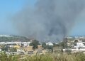 Declarado un incendio forestal en Estepona que obliga a cortar la A-7