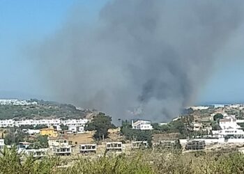 Declarado un incendio forestal en Estepona que obliga a cortar la A-7