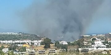 Declarado un incendio forestal en Estepona que obliga a cortar la A-7