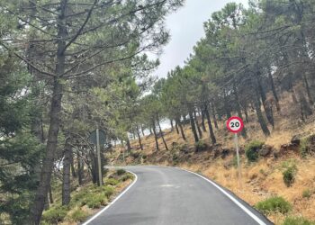 Finalizadas en Estepona las obras de mejora del camino de acceso a Los Reales de Sierra Bermeja