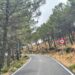Finalizadas en Estepona las obras de mejora del camino de acceso a Los Reales de Sierra Bermeja