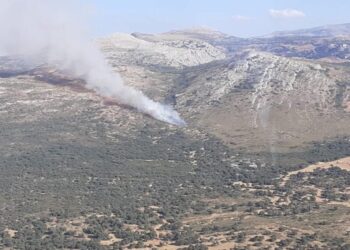 Infoca vigila el perímetro del incendio declarado el martes en el campo de tiro Las Navetas de Ronda