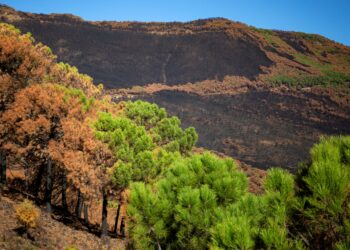 Ecologistas piden a organizadores de La Vuelta que el trazado no pase por Sierra Bermeja