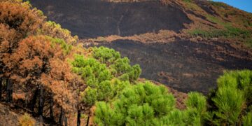 Ecologistas piden a organizadores de La Vuelta que el trazado no pase por Sierra Bermeja