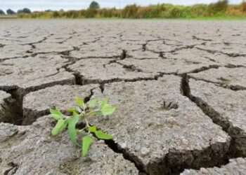 Andalucía impulsa una comisión de seguimiento a modo de «gabinete de crisis» que evaluará el avance de la sequía