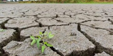 Andalucía impulsa una comisión de seguimiento a modo de «gabinete de crisis» que evaluará el avance de la sequía