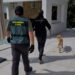Detenidos en Marbella dos capos del tráfico internacional de cocaína