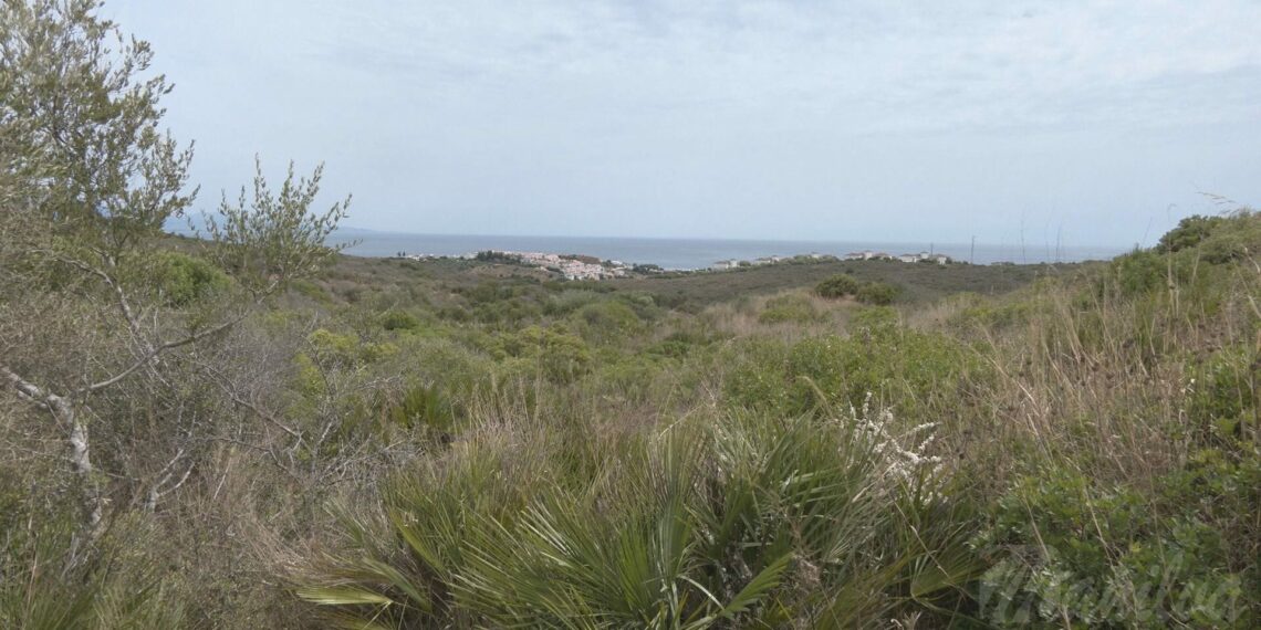 Se proyecta la construcción de un hotel en la Finca El Molino