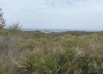 Se proyecta la construcción de un hotel en la Finca El Molino