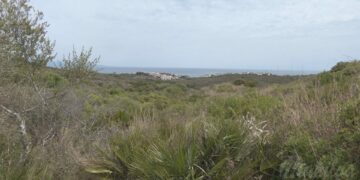 Se proyecta la construcción de un hotel en la Finca El Molino