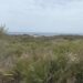 Se proyecta la construcción de un hotel en la Finca El Molino