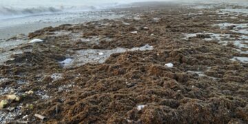 El temporal causa daños en las playas de Casares