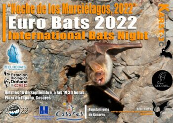La Noche de los Murciélagos llega a Casares el próximo viernes 16 de septiembre