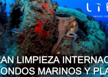 Mañana domingo se llevará a cabo la VIII edición de la Gran Limpieza Internacional de Fondos Marinos y Playas