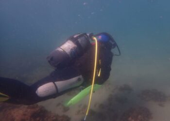 La Asociación Subacuática Casares realiza una limpieza de fondo marino en la costa casareña